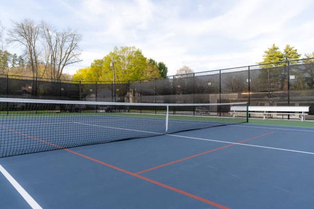Pickleball Court